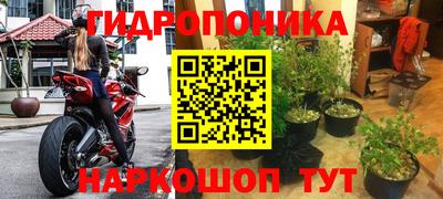 ПСИЛОЦИБИНОВЫЕ ГРИБЫ Ипатово