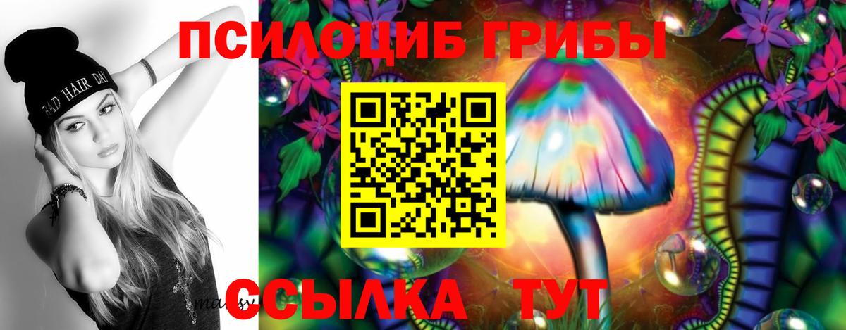Псилоцибиновые грибы Psilocybine cubensis  Вход с VPN  Горячий Ключ  Галлюциногенные грибы мухоморы 
